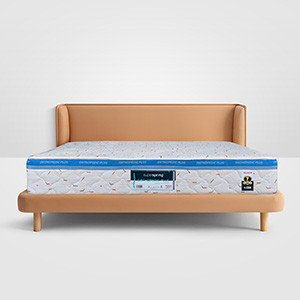 Superfoam SSOPB06 Orthopedic plus 6*6*11
